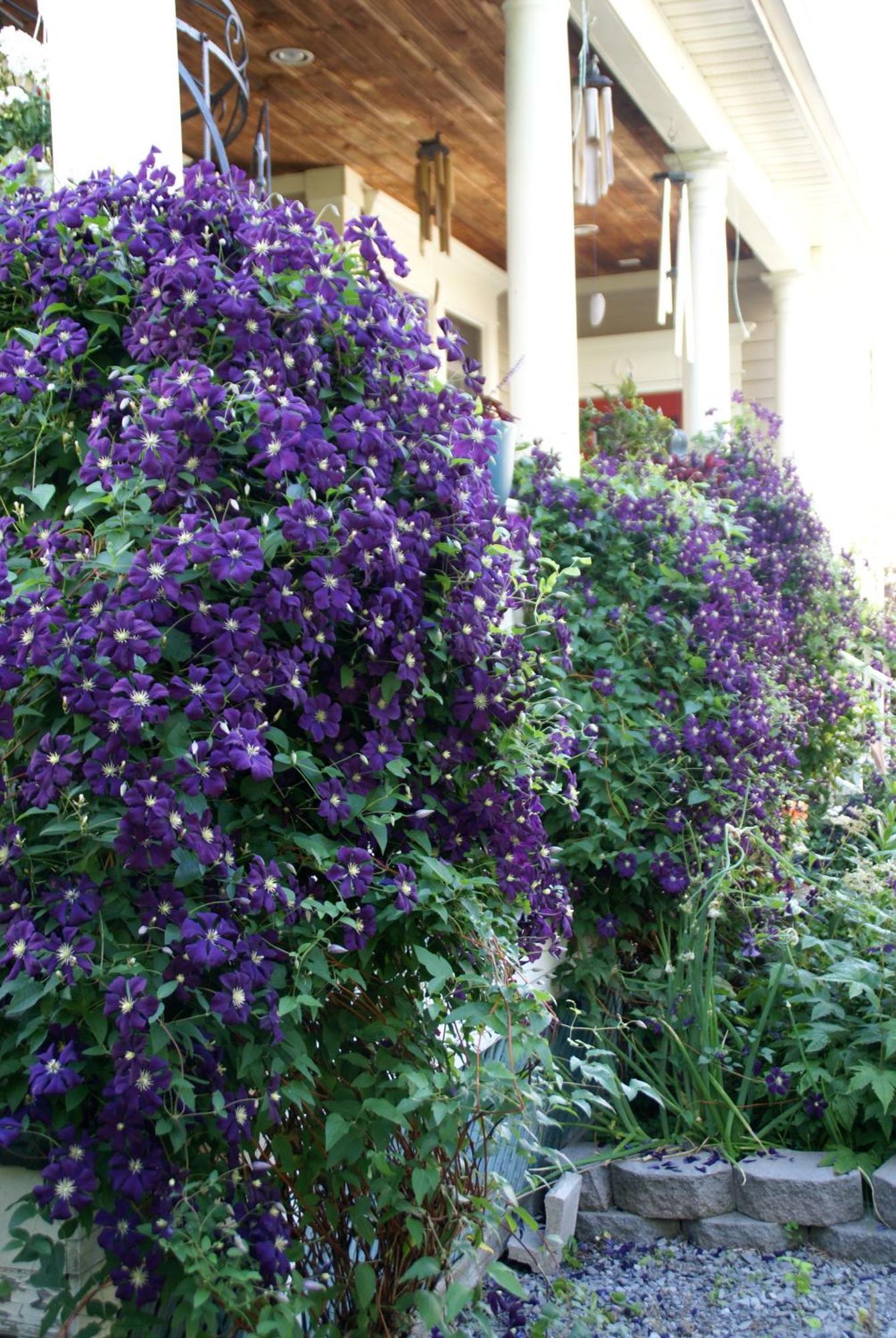 Globetrotters B&B Niagara-on-the-Lake Ngoại thất bức ảnh